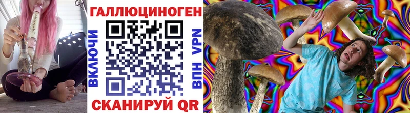 Псилоцибиновые грибы мицелий  Купить где  Дагестанские Огни 