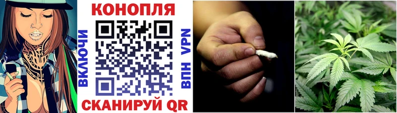 Шишки марихуана семена Купить Дагестанские Огни